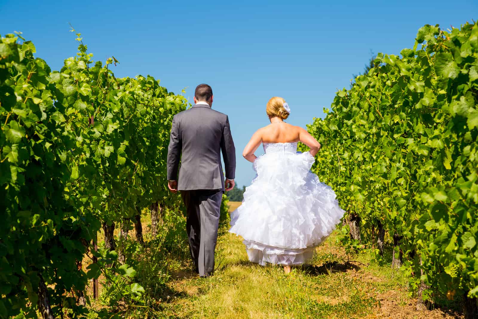 Braut und Bräutigam gehen an einem Weinberg in einem Weingut