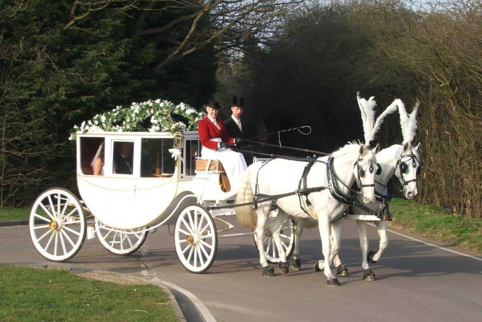 Das Brautpaar reitet mit einem Pferd in einer Kutsche
