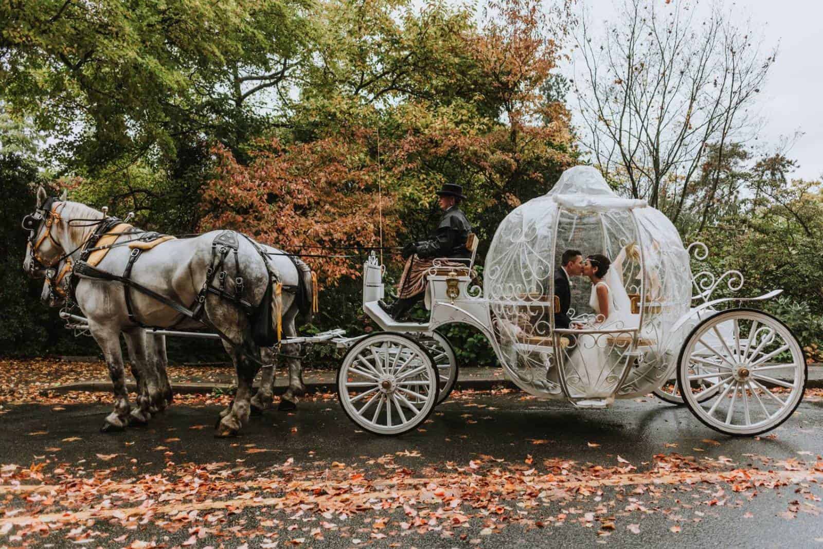 Das Brautpaar reitet mit einem Pferd in einer weißen Kutsche