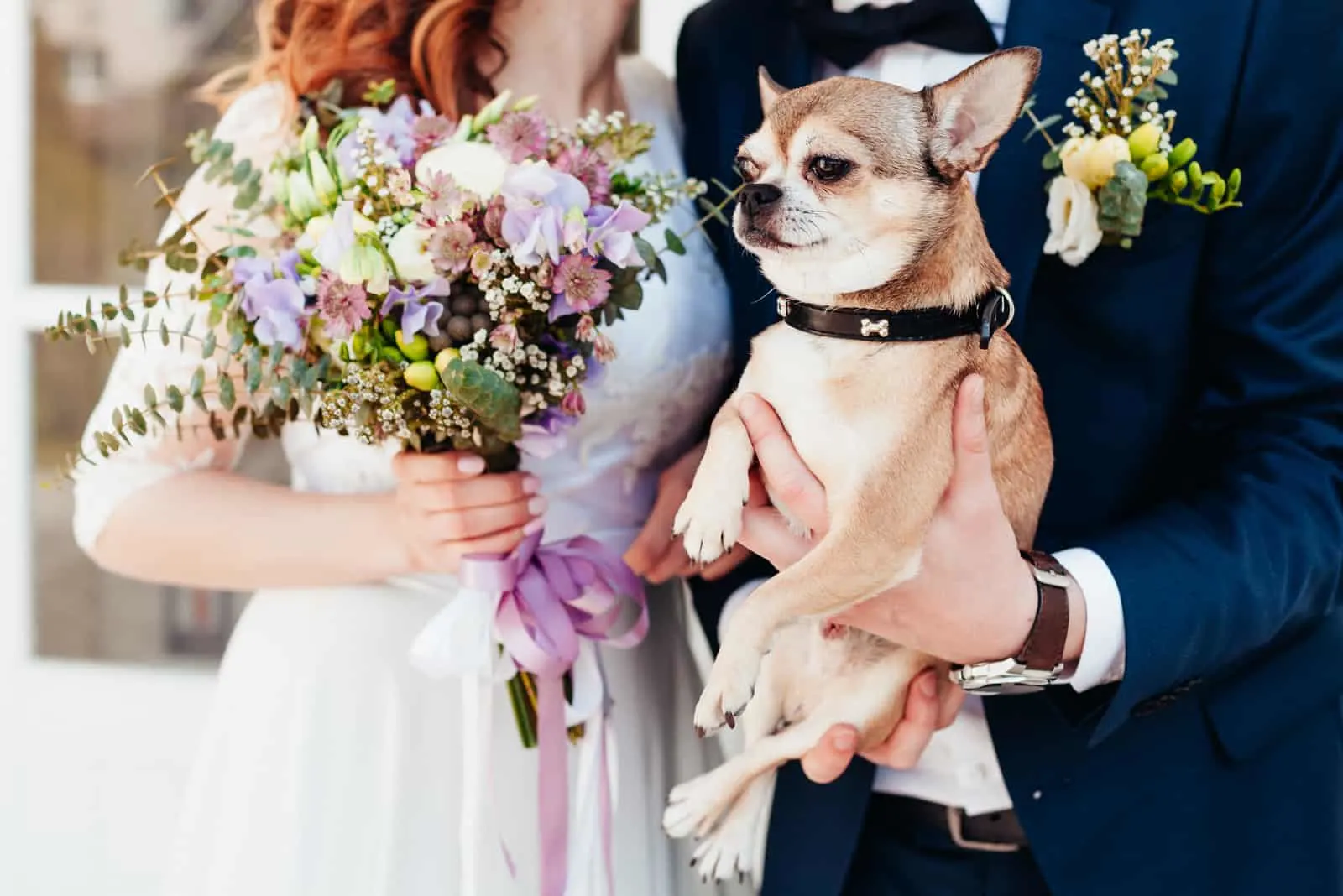 Netter Hund bei der Hochzeit