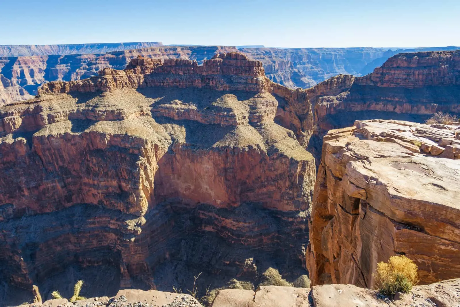 Porträt des Grand Canyon