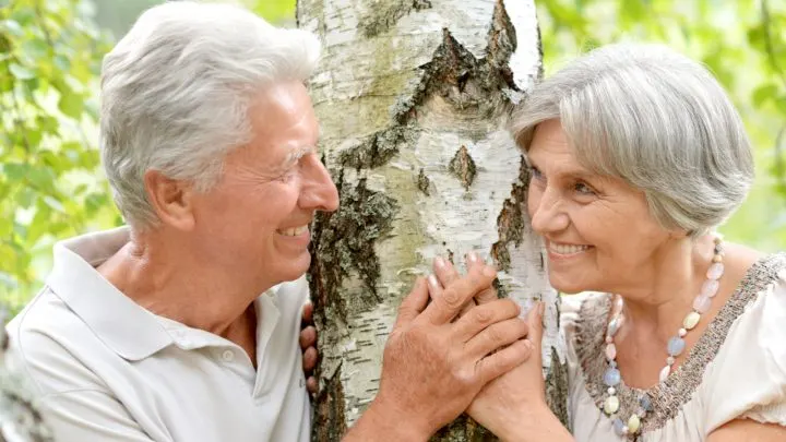 Der 41. Hochzeitstag: Bedeutung der Birkenhochzeit inkl. Geschenkideen