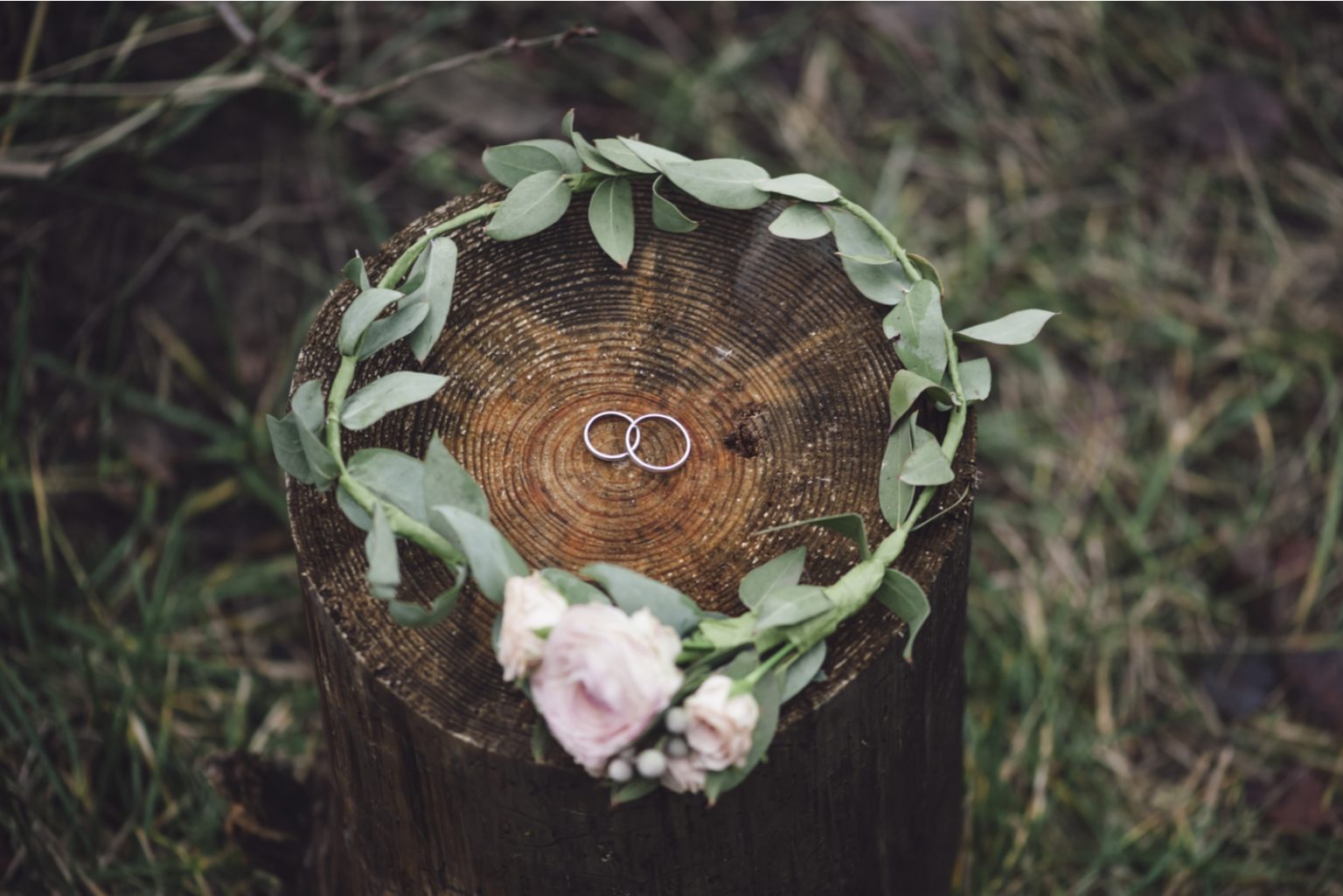 29 hochzeitstag samthochzeit bilder