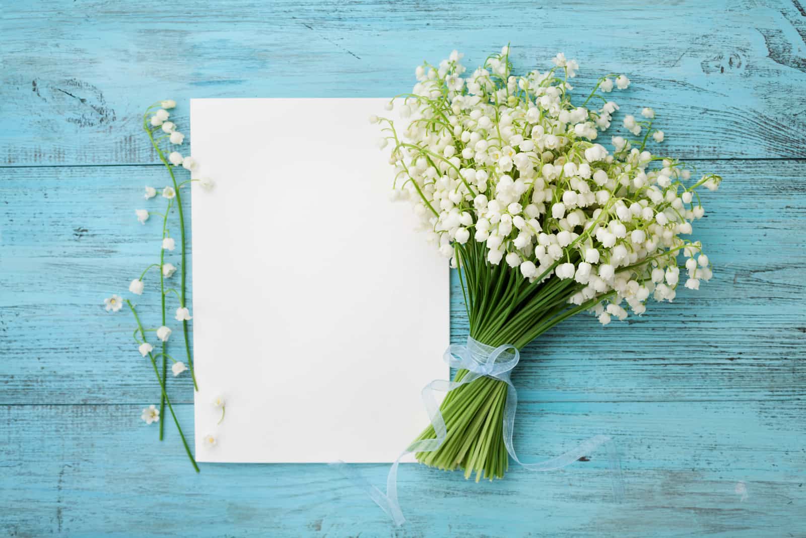Blumenstrauß Maiglöckchen und leeres Papierblatt