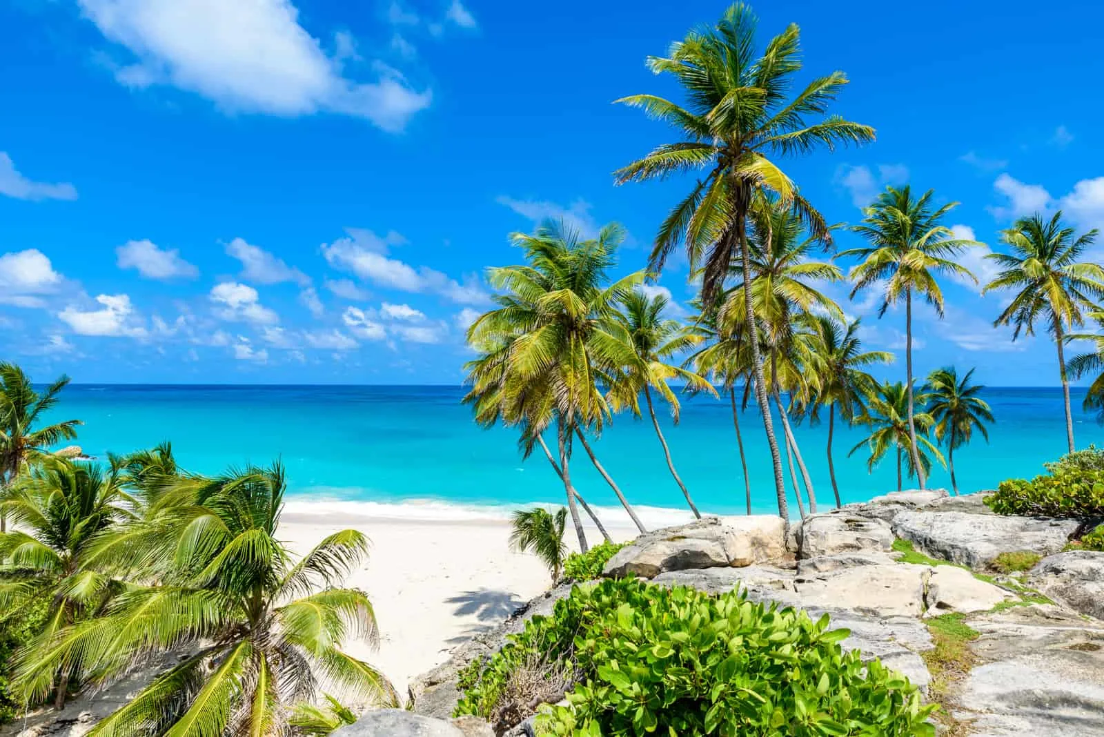 Paradiesstrand auf der Karibikinsel Barbados