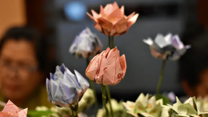 Geldscheine Falten Blume: Bastelanleitung und Geschenkideen