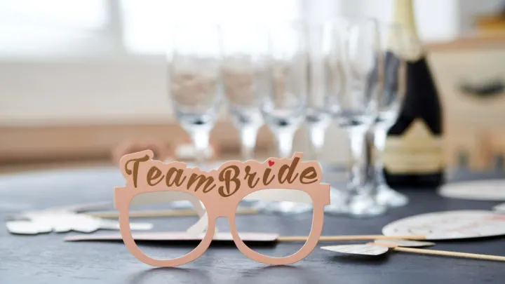 Team Bride: Die hinreißendste Leibwache der Braut